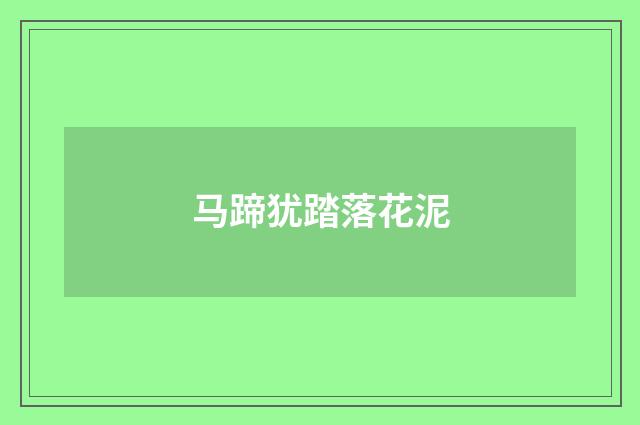 马蹄犹踏落花泥