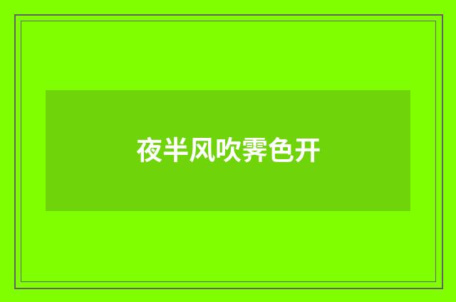 夜半风吹霁色开