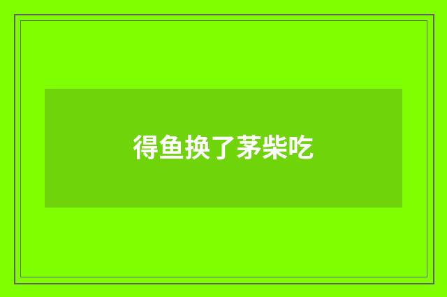 得鱼换了茅柴吃