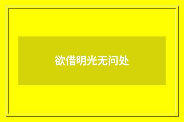 欲借明光无问处