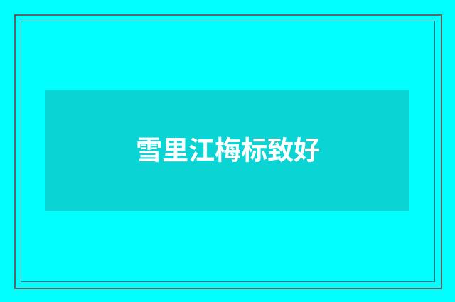 雪里江梅标致好