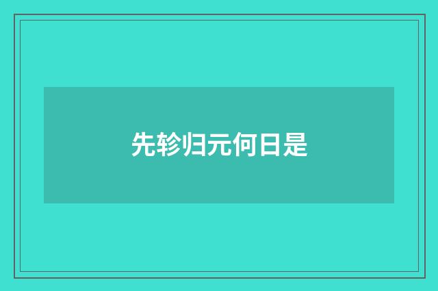 先轸归元何日是