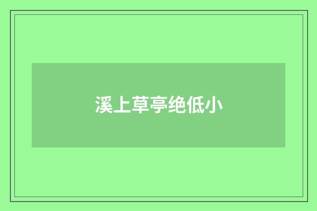 溪上草亭绝低小