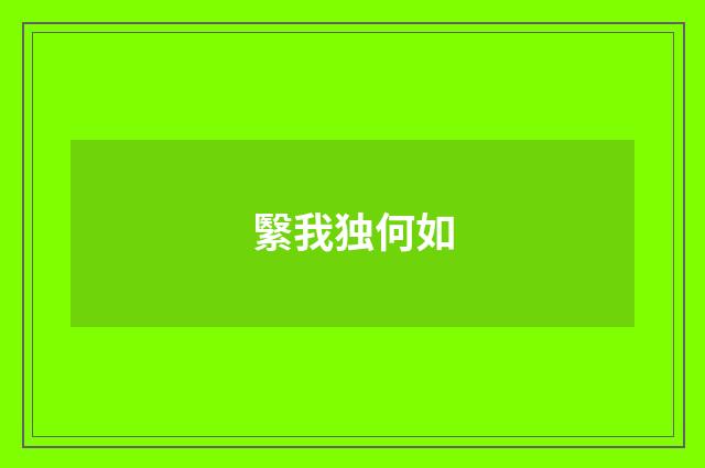 繄我独何如