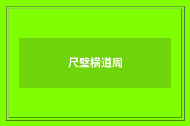尺璧横道周