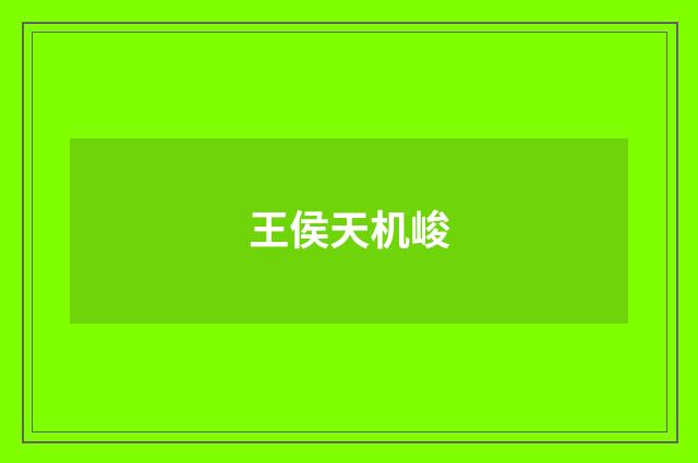 王侯天机峻