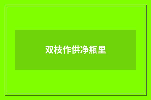 双枝作供净瓶里