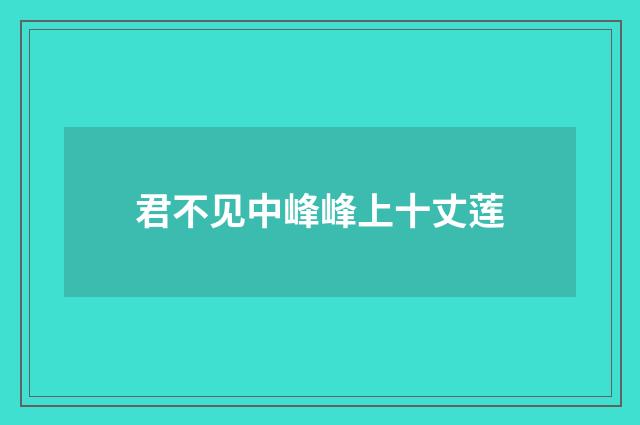君不见中峰峰上十丈莲