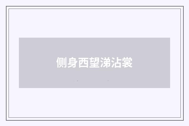 侧身西望涕沾裳