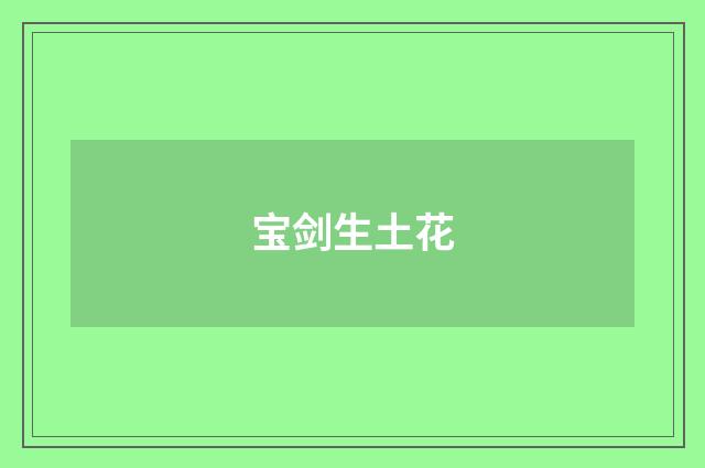 宝剑生土花