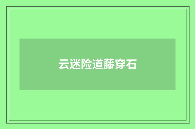 云迷险道藤穿石