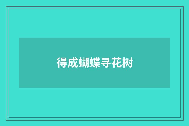 得成蝴蝶寻花树