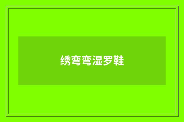 绣弯弯湿罗鞋