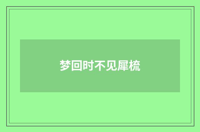 梦回时不见犀梳
