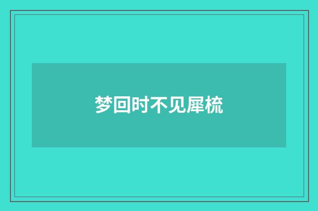 梦回时不见犀梳