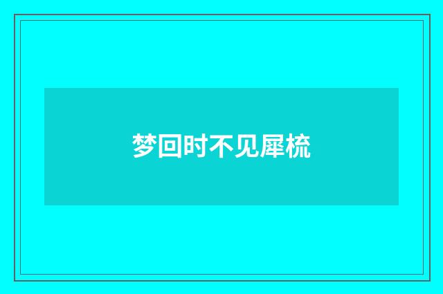 梦回时不见犀梳