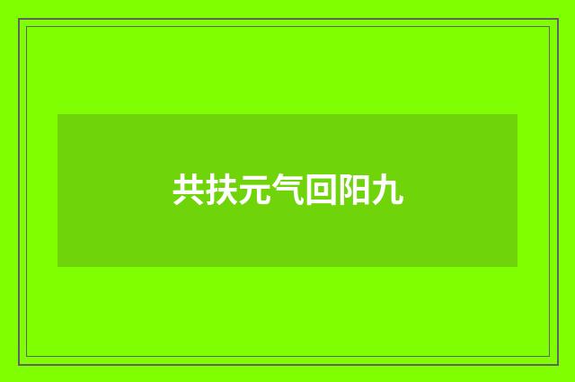 共扶元气回阳九