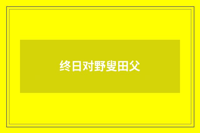 终日对野叟田父