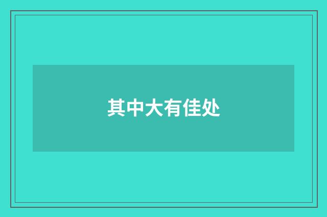 其中大有佳处