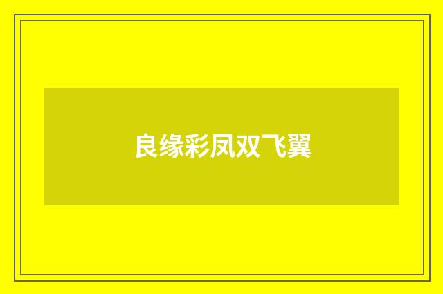 良缘彩凤双飞翼