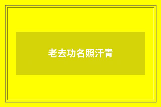 老去功名照汗青
