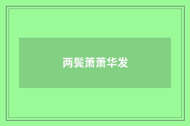 两鬓萧萧华发