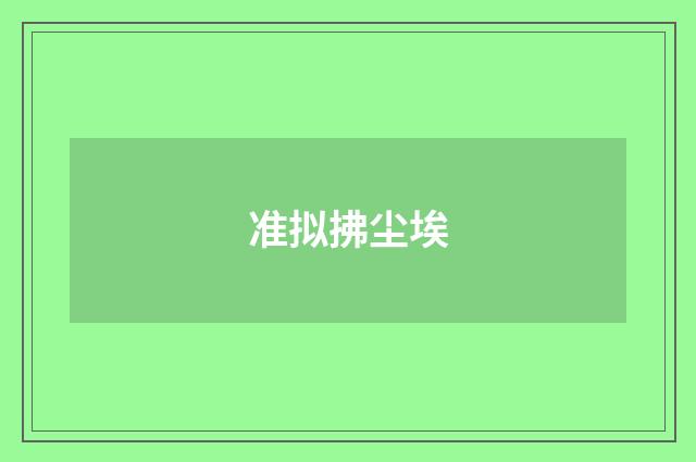 准拟拂尘埃