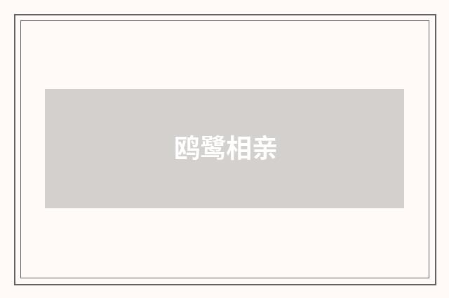 鸥鹭相亲