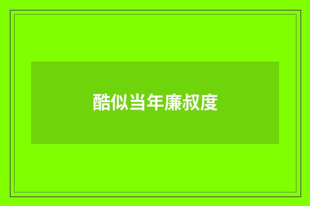 酷似当年廉叔度