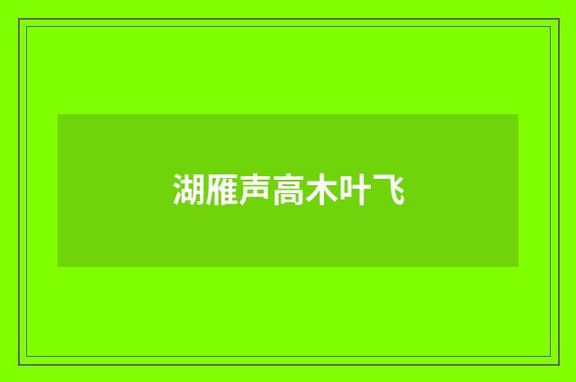 湖雁声高木叶飞