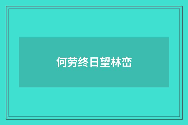 何劳终日望林峦