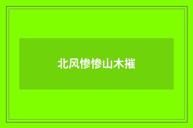 北风惨惨山木摧