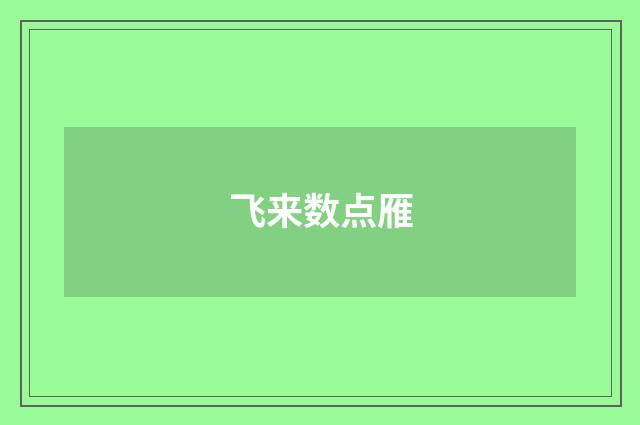 飞来数点雁