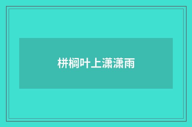 栟榈叶上潇潇雨