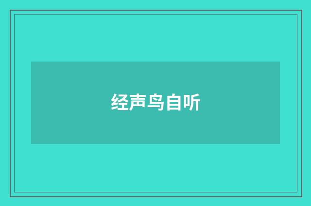 经声鸟自听