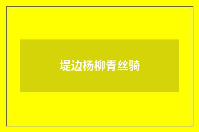 堤边杨柳青丝骑
