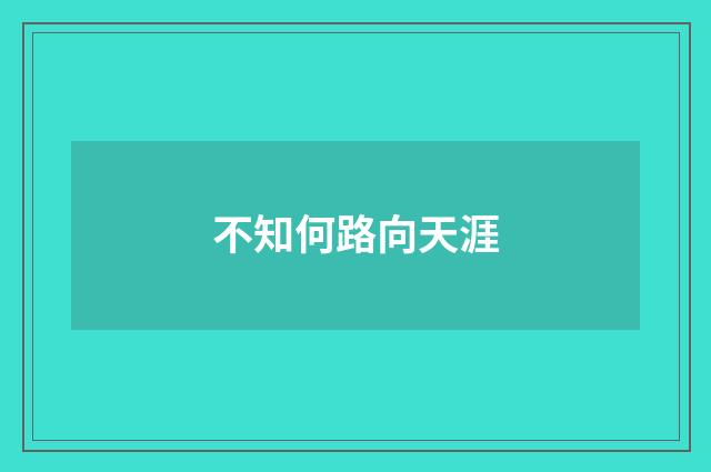 不知何路向天涯