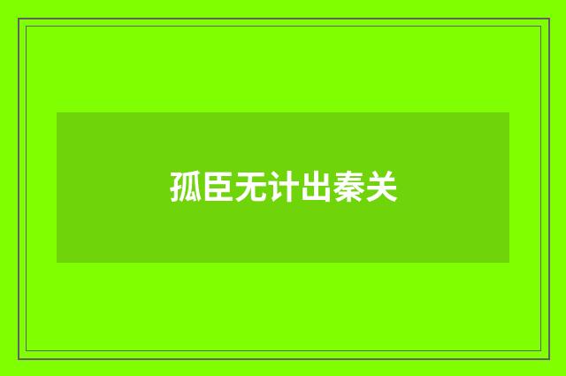 孤臣无计出秦关