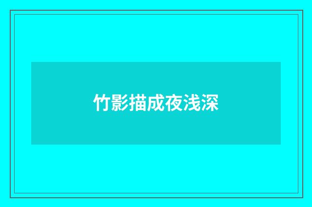 竹影描成夜浅深