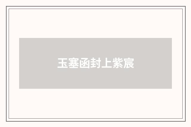 玉塞函封上紫宸