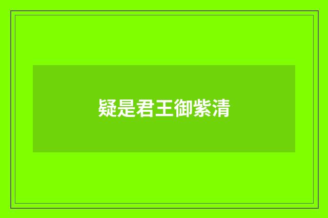 疑是君王御紫清