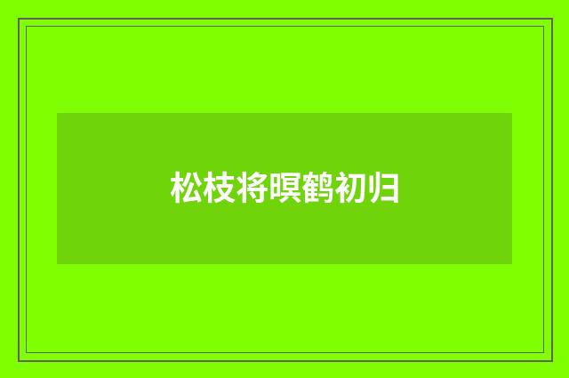 松枝将暝鹤初归
