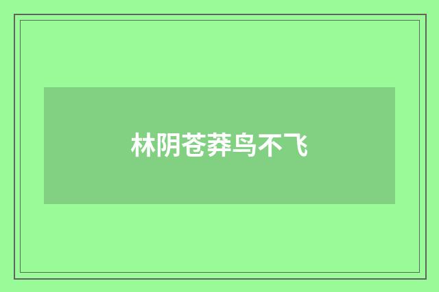 林阴苍莽鸟不飞