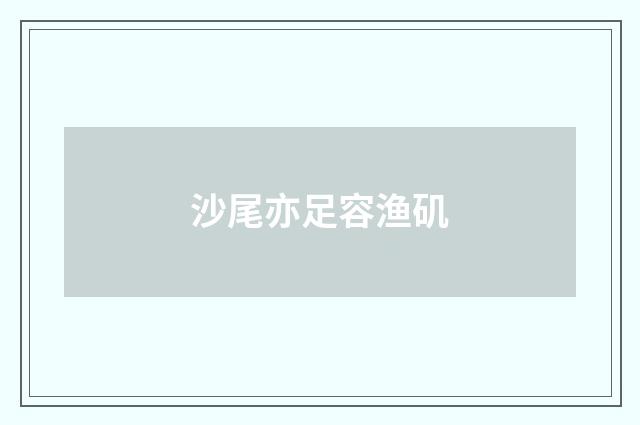 沙尾亦足容渔矶