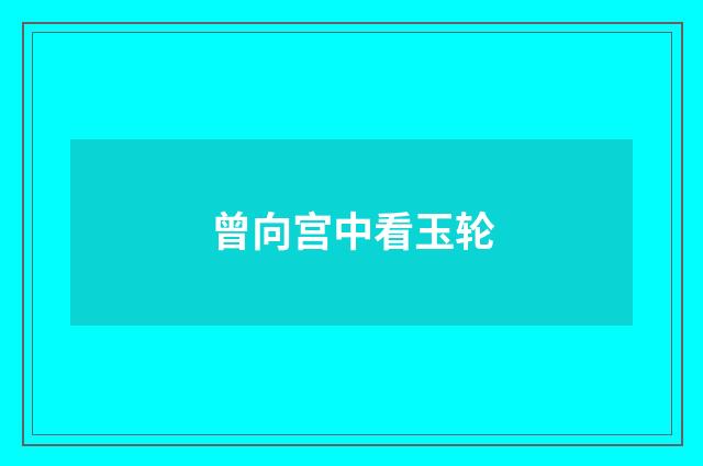 曾向宫中看玉轮