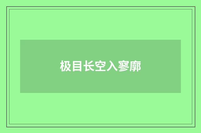 极目长空入寥廓