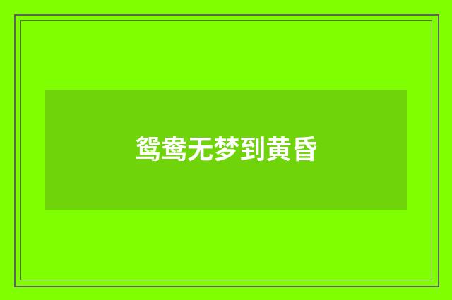 鸳鸯无梦到黄昏