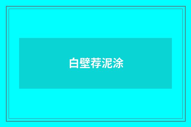白壁荐泥涂