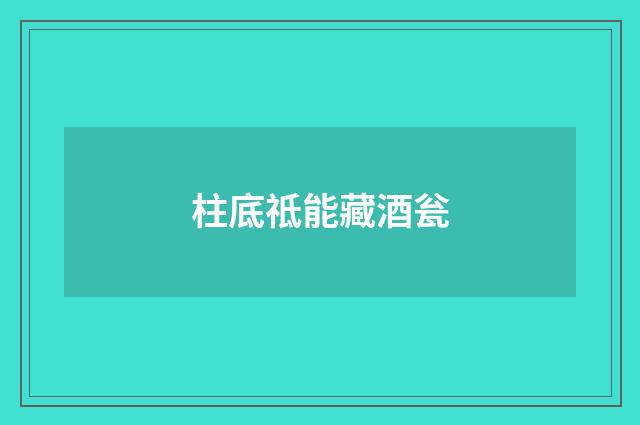 柱底祗能藏酒瓮