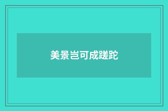 美景岂可成蹉跎